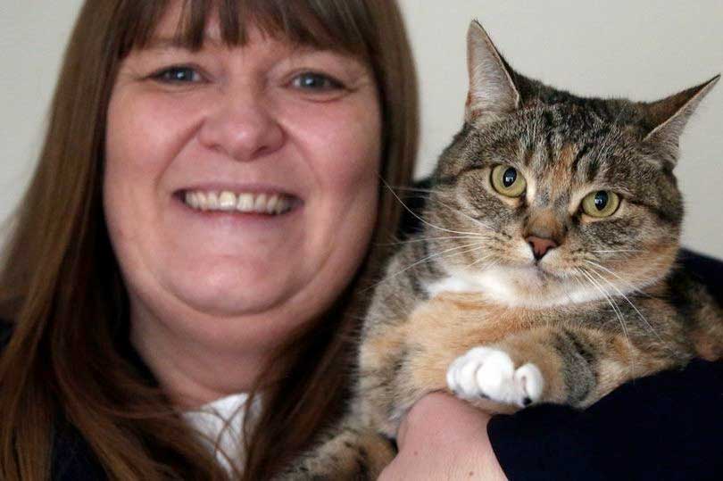 КотоДайджест на октябрь - все самое интересное