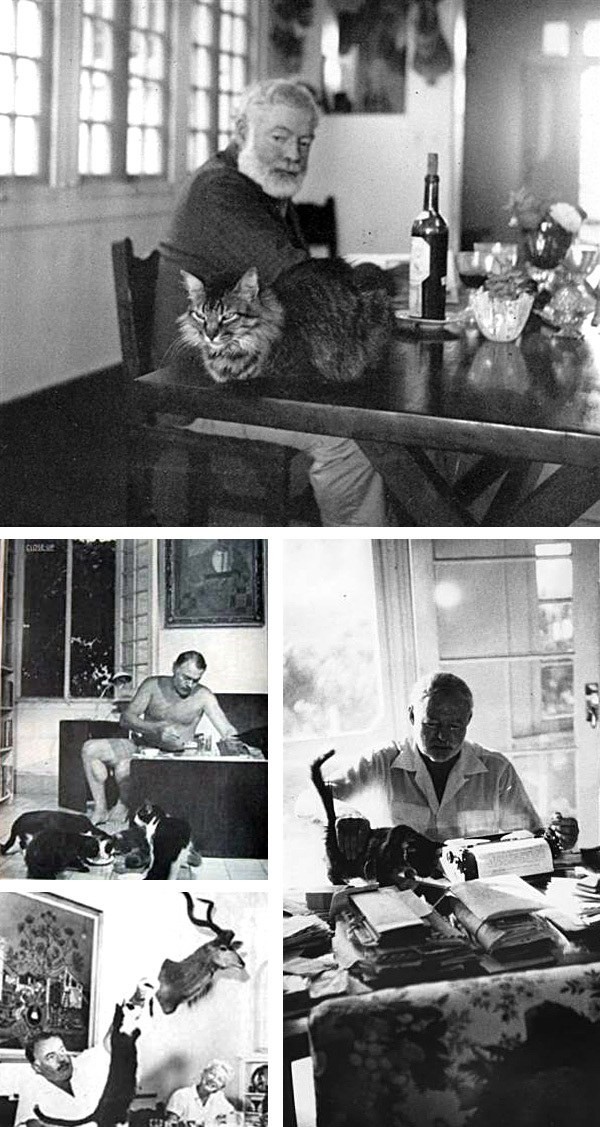 Коты писателей — фото писателей и их кошек