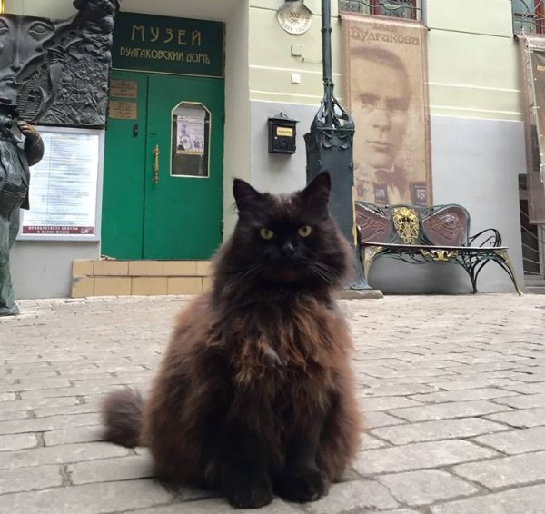 КотоДайджест на сентябрь - все самое интересное