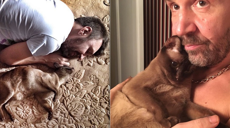 Кошки знаменитостей — известные музыканты и их кошки