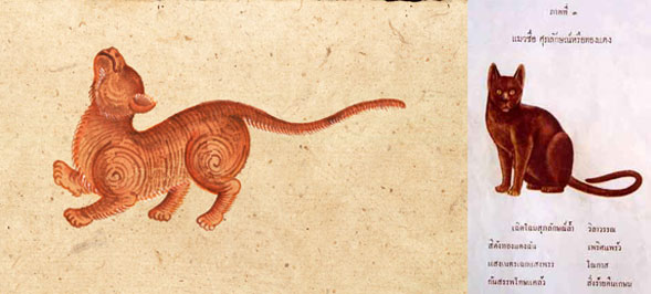Кошки в Таиланде — 5 аборигенных пород из древнего Сиама