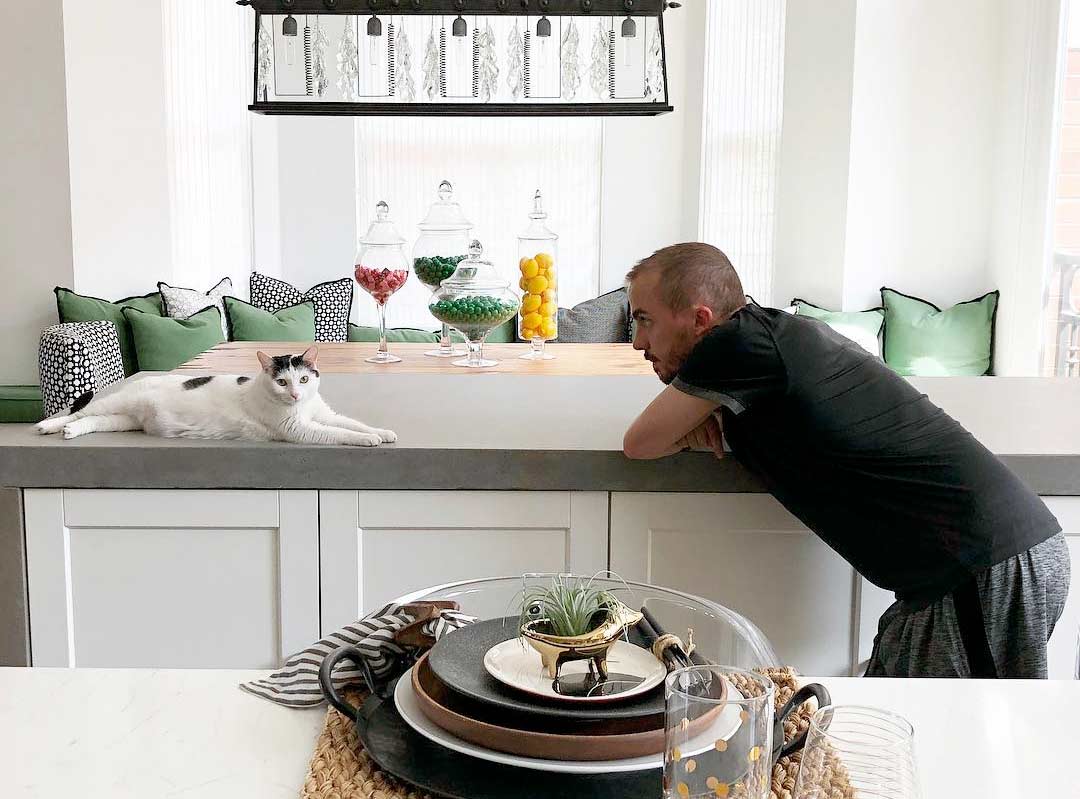 КотоДайджест новогодний выпуск - все самое интересное