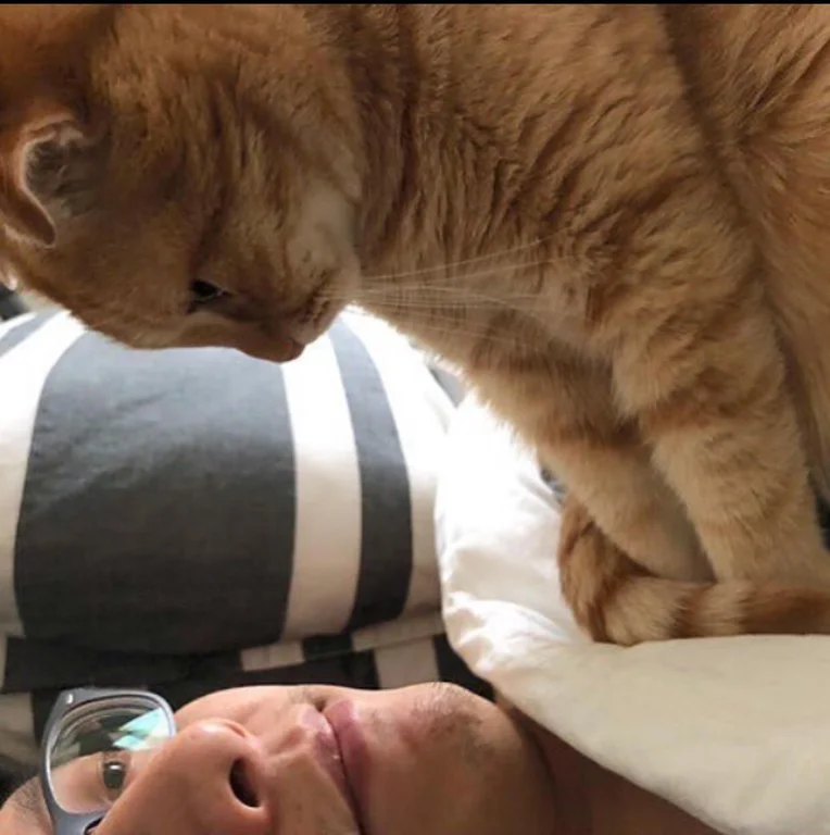 КотоДайджест новогодний выпуск - все самое интересное