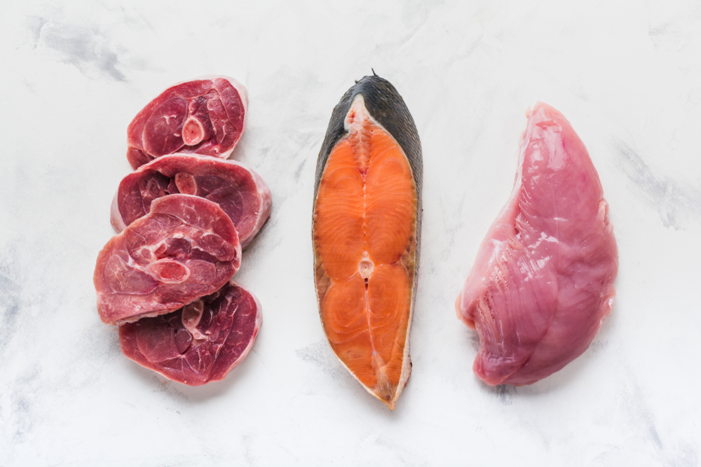 Обзор сухого корма для кошек Summit