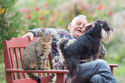 Способны ли кошки на месть и обиду?