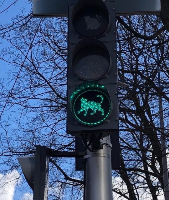 КотоДайджест на март - все самое интересное