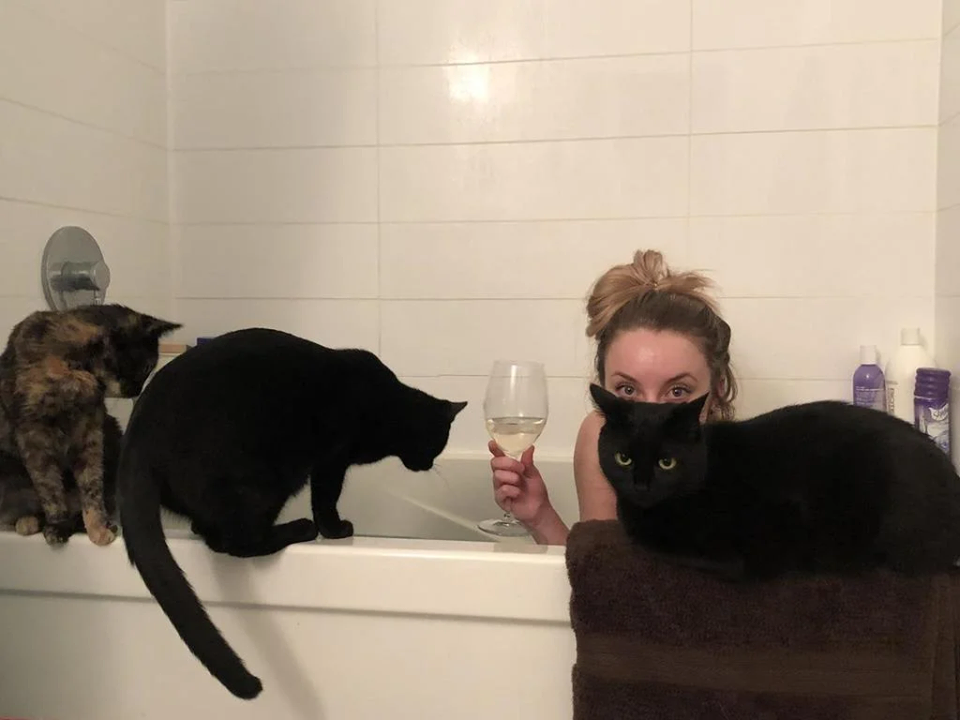 КотоДайджест на март - все самое интересное