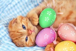 КотоДайджест на апрель — все самое интересное. Пасхальный выпуск