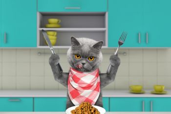 Обзор сухого корма Brooksfield