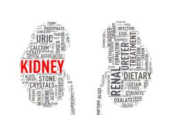 Что можно есть при почечной недостаточности?