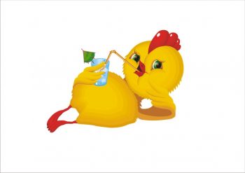 Чем можно заразиться от птиц