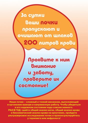 Признаки заболевания почек у взрослых