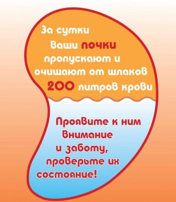 Признаки заболевания почек у взрослых