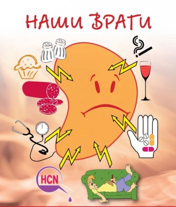 Признаки заболевания почек у взрослых