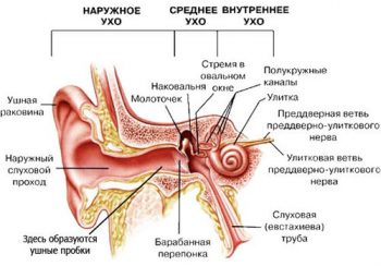 Кохлеарный неврит: причины, симптомы и лечение