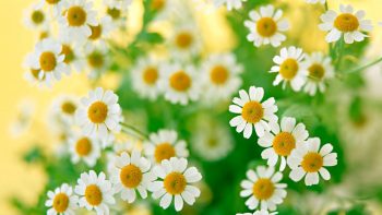 Седативные препараты для детей