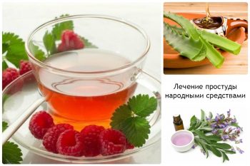 Что делать при первых признаках простуды