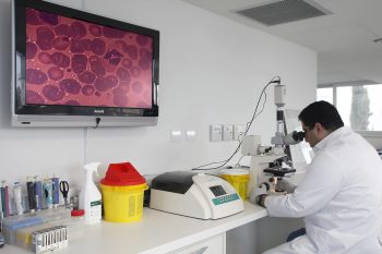 Венерические заболевания: симптомы и диагностика