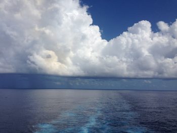 Дифтерия у взрослых: причины, симптомы, диагностика, лечение и профилактика