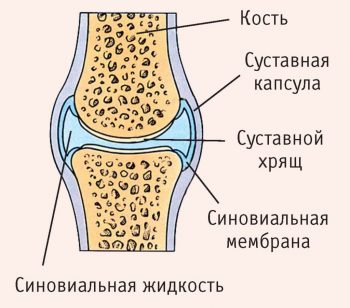 Противовоспалительные препараты для суставов (НПВС): обзор средств