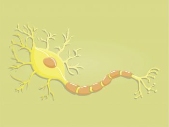 Рассеянный склероз: симптомы и лечение