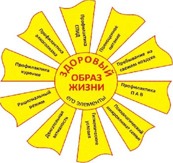 Что такое здоровый образ жизни, и каковы его составляющие