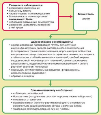 Цистит: обзор средств для снятия боли и воспаления