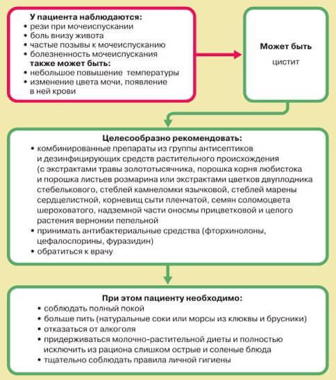 Цистит: обзор средств для снятия боли и воспаления
