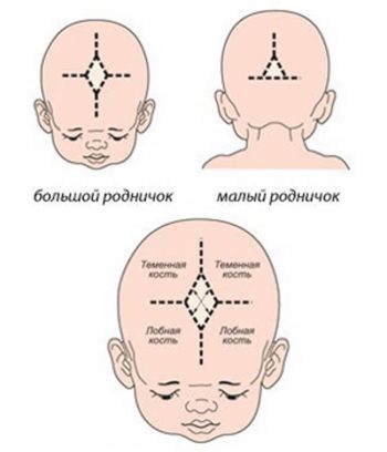 Родничок у ребенка: ответы на вопросы родителей