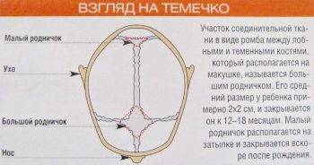 Родничок у ребенка: ответы на вопросы родителей