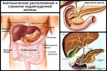 Заболевания поджелудочной железы