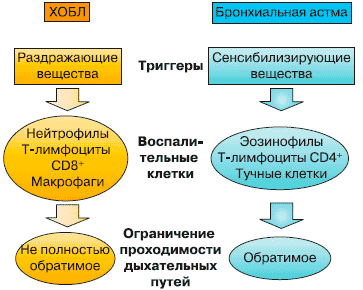 Хроническая обструктивная болезнь легких (ХОБЛ)