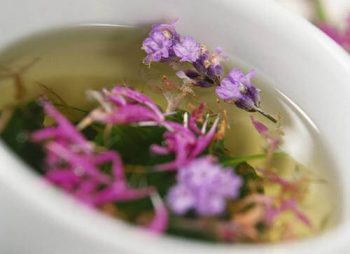 Очищение почек от песка – современные методы