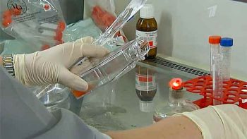 Стволовые клетки: победа над болезнями и продление молодости, мифы и факты