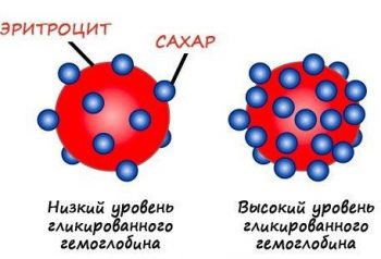что такое гликилированный гемоглобин