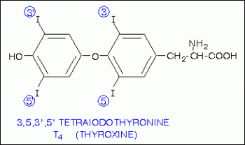 тироксин формула