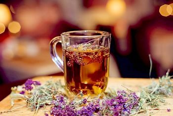 чабрец в лечении остеопороза