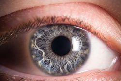 Болезнь и синдром Шегрена: симптомы и лечение