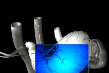 МРТ желудка: показания, подготовка, методика проведения исследования