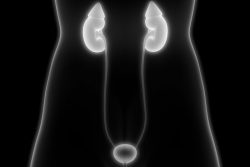 Внутривенная урография: суть метода, методика проведения исследования