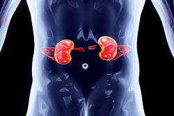 КТ почек с контрастированием и без: показания, противопоказания