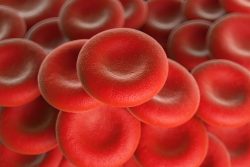 Анализ крови на свёртываемость: показатели, расшифровка