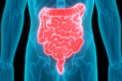 Рентген кишечника: показания, противопоказания, методика проведения