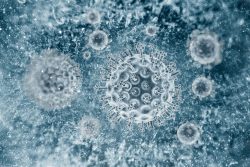 Гепатит А: пути передачи, особенности течения