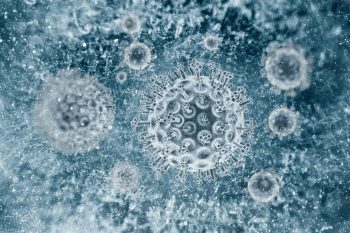 Гепатит А: пути передачи, особенности течения