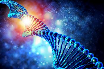 Болезнь Вильсона-Коновалова: симптомы, причины, принципы лечения