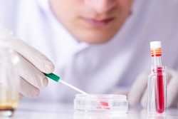 Биохимический анализ крови: расшифровка у взрослых