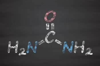 Дыхательный тест на хеликобактер: суть исследования, показания