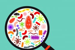 10 красочных фото возбудителей болезней, наиболее опасных для жизни и здоровья человека