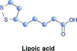 Липоевая кислота и ее влияние на печень